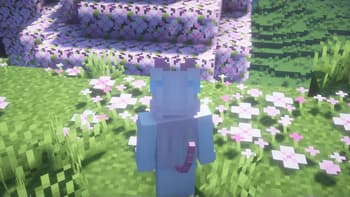 toNekoMod screenshot