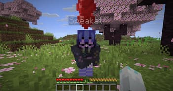 petsful screenshot