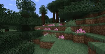 Sweety's Garden screenshot