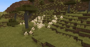 Sweety's Garden screenshot