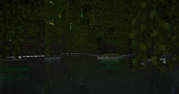 More Animals screenshot