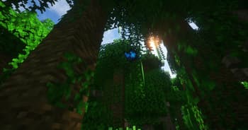 More Animals screenshot