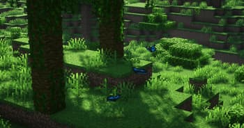 More Animals screenshot