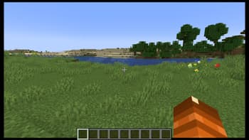 Visual Enhancements screenshot