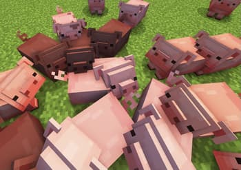 JellyJams screenshot