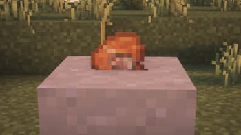 Spare No Items screenshot
