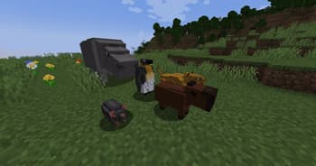 B'things screenshot