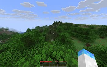 Show Player Coordinets screenshot