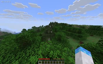 Show Player Coordinets screenshot