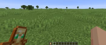 CPVP PACK screenshot