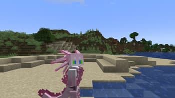Shapeshifter's Adventures screenshot