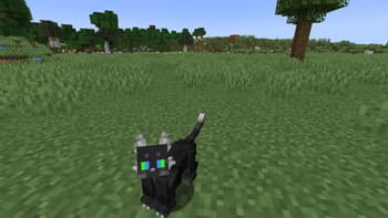 Shapeshifter's Adventures screenshot