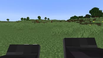 Shapeshifter's Adventures screenshot