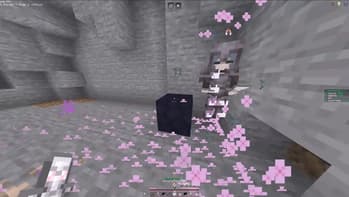 PinkClearVISUAL screenshot