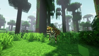 Brazilian Expansion screenshot