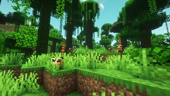 Brazilian Expansion screenshot