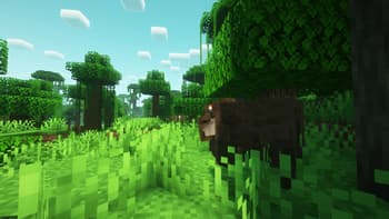 Brazilian Expansion screenshot