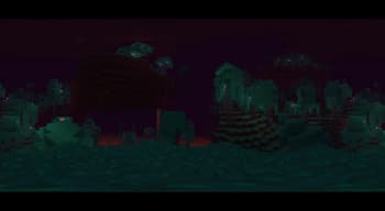 360 FOV screenshot