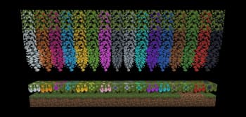 Colorful Azaleas [MC 1.21.1+] screenshot