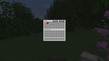 Bank Storage screenshot