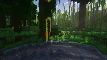 Grass+ screenshot