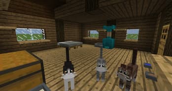 Simply Cats screenshot