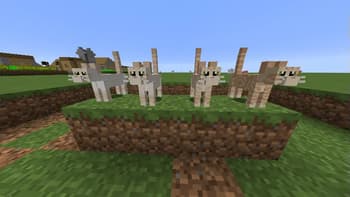 Simply Cats screenshot