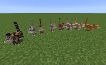 Simply Cats screenshot