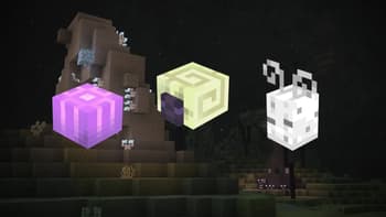 Enderscape 3D screenshot