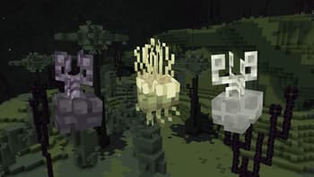 Enderscape 3D screenshot
