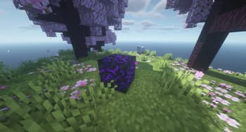 Wards screenshot