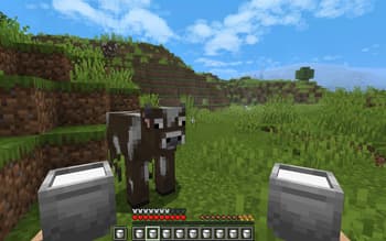 Fresh Buckets screenshot