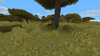 This Rocks! screenshot