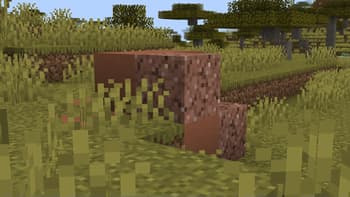 Philip's Biome Features screenshot