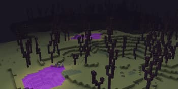 Enlightend screenshot
