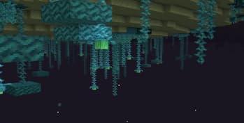 Enlightend screenshot