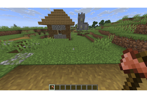 Paxels screenshot