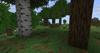 Better Nature screenshot