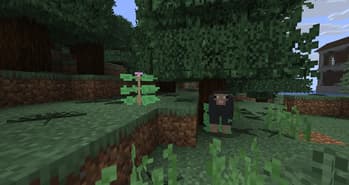 Better Nature screenshot