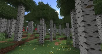 Better Nature screenshot