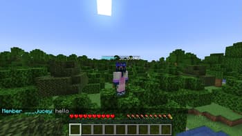 Rankify screenshot