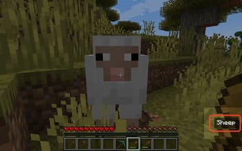 BET - Block'n'Entity Tooltip screenshot