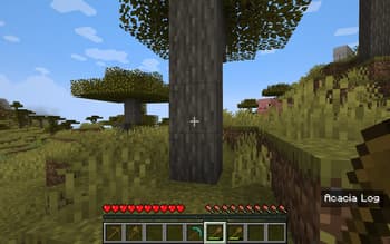 BET - Block'n'Entity Tooltip screenshot