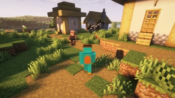 Simple Villager Follow screenshot