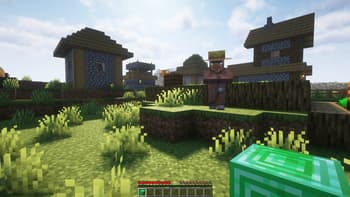 Simple Villager Follow screenshot