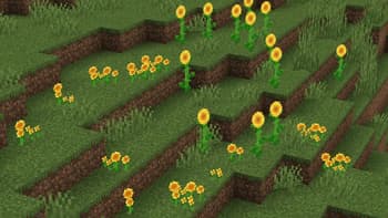 MGN's Flowers screenshot