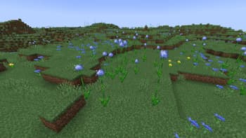 MGN's Flowers screenshot