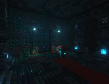 Dungeons and Minecraft screenshot