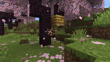3D Particles screenshot