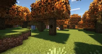 Autumn Fall screenshot